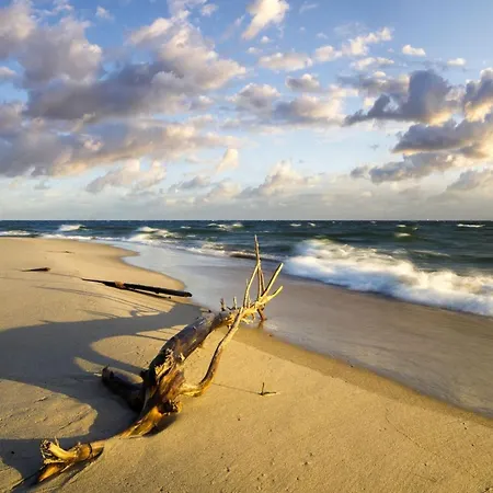 Apartament In Near Baltic Sea