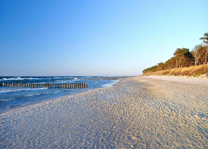 Appartement In Near Baltic Sea *