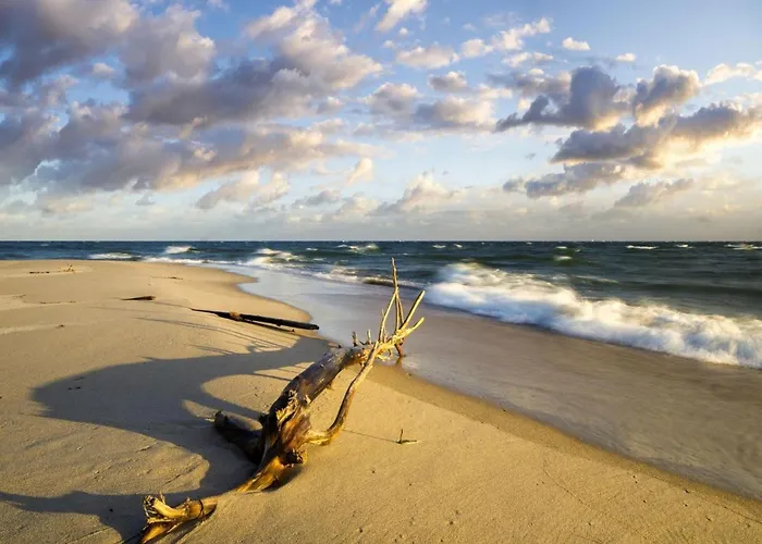 Appartement In Near Baltic Sea